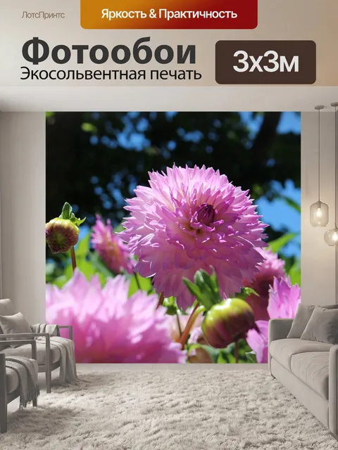 Фотообои Цветок