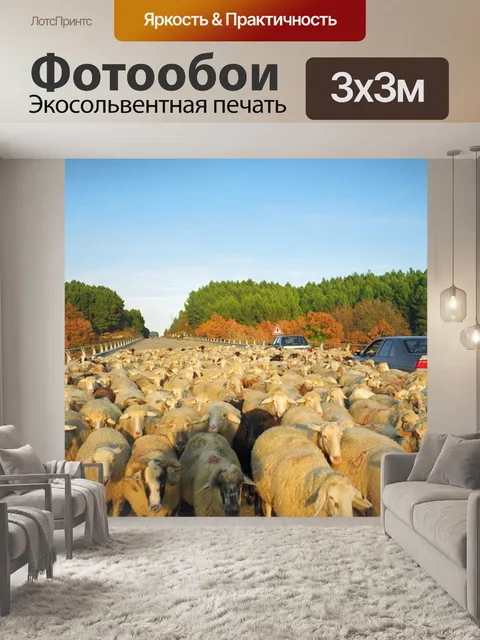 Фотообои Оба раза