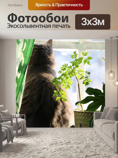 Фотообои Кошка
