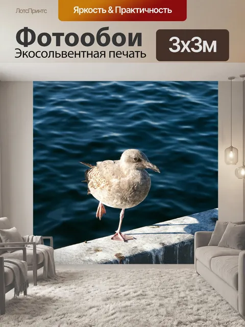 Фотообои Чайка