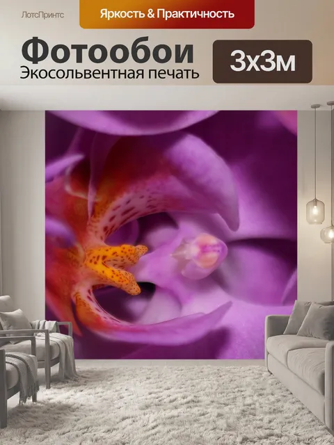 Фотообои Орхидея