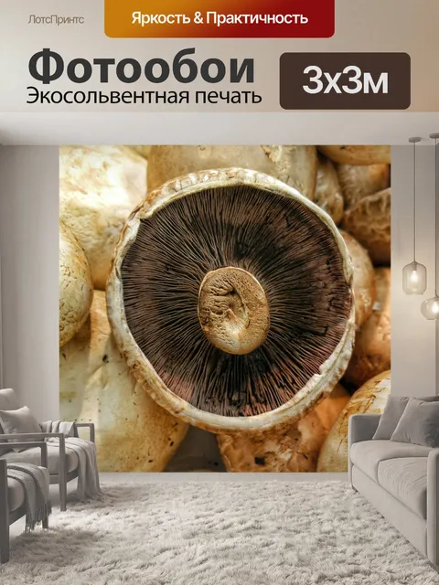 Фотообои Грибы