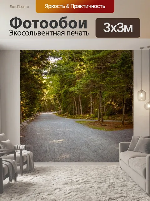 Фотообои Дорога в лесу