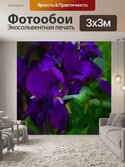 Фотообои Сиреневые ирисы