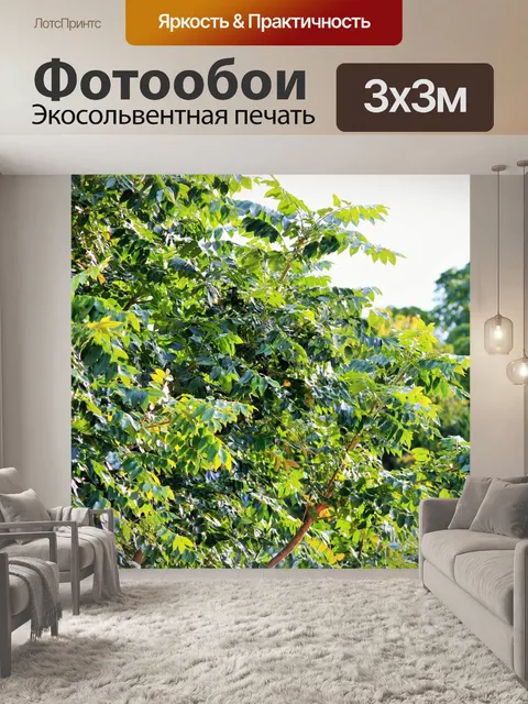 Фотообои Листва мыс ясеня