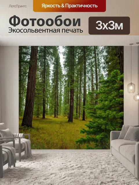 Фотообои вечнозеленый лес с хвойными деревьями