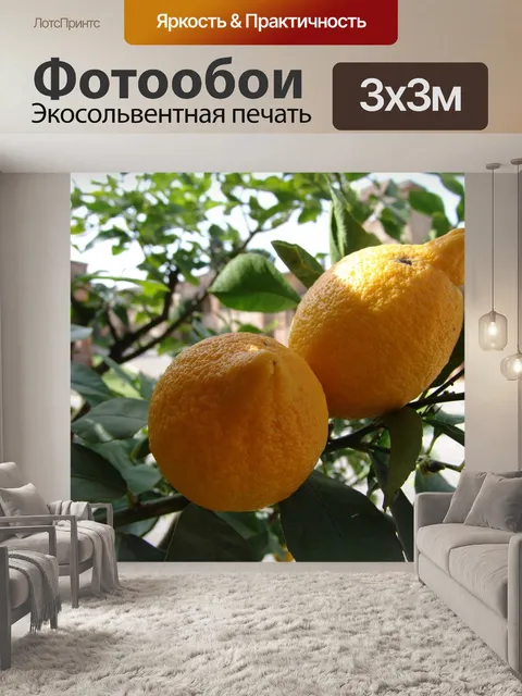 Фотообои Лимоны