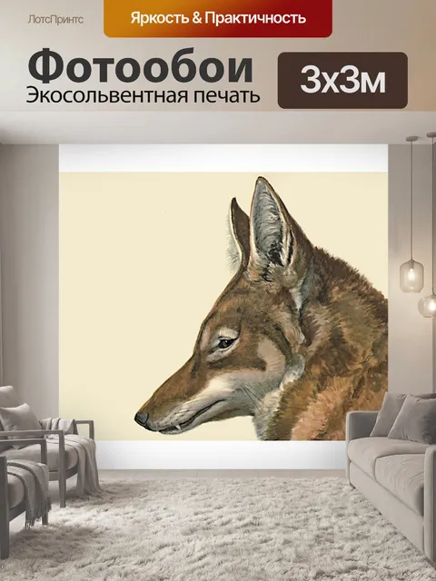 Фотообои Винтажный иллюстрационный койот-волк
