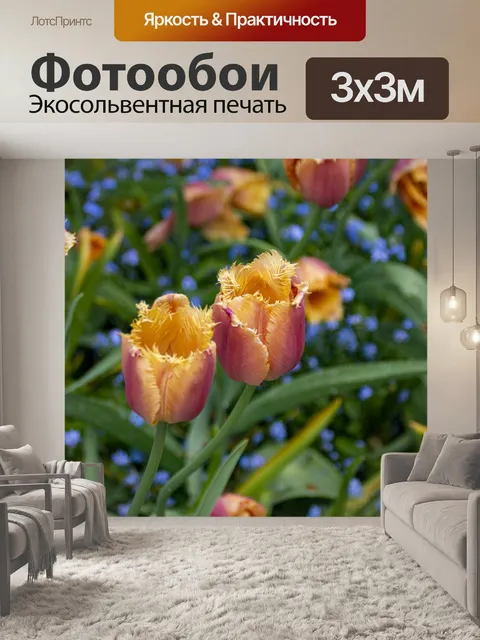 Фотообои бахромчатые тюльпаны