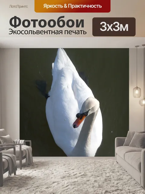 Фотообои Белый лебедь