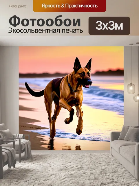 Фотообои изобразите бельгийскую овчарку малинуа в движении, бегущей по пляжу с энергичным выражением