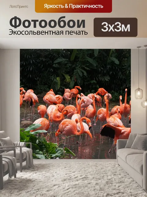 Фотообои Фламинго