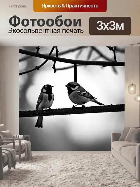 Фотообои статика при наблюдении за птицами на кормушке в зимний поздний вечер