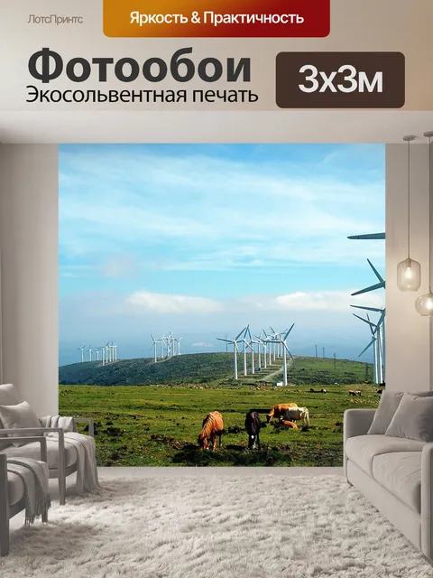 Фотообои Галисия
