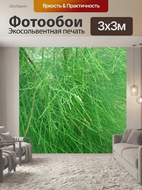 Фотообои Зеленый