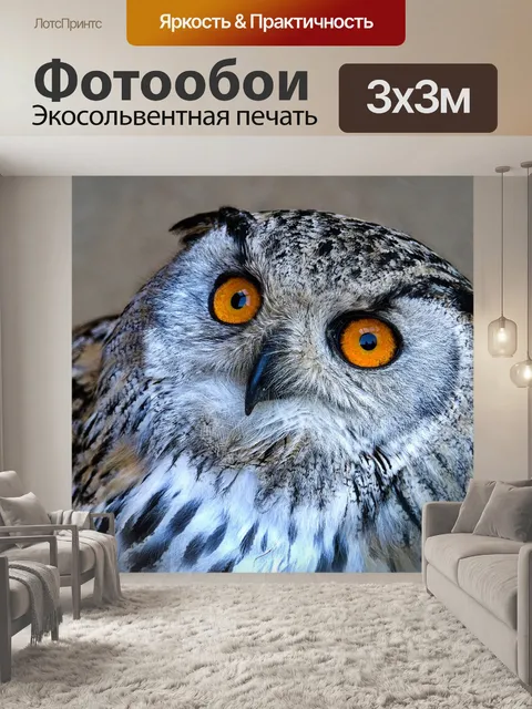Фотообои Филин