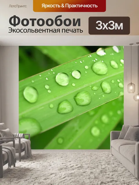 Фотообои Капля воды на листе