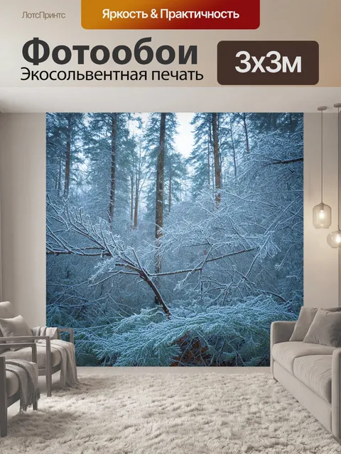 Фотообои ледяной лес с инеем, сверкающие ветви, холодный и загадочный пейзаж