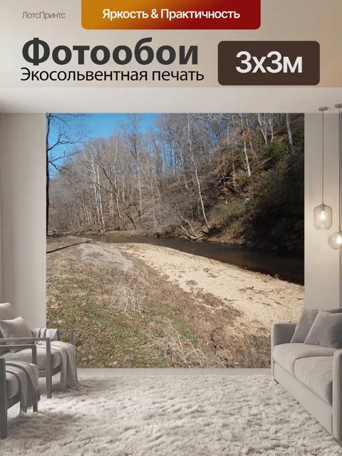 Фотообои Дэвид Крокетт Парк штата