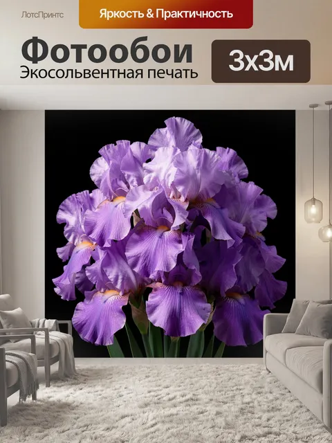 Фотообои Фиолетовые ирисы на черном фоне