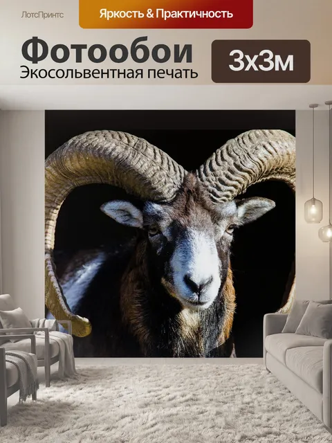 Фотообои Снежный баран