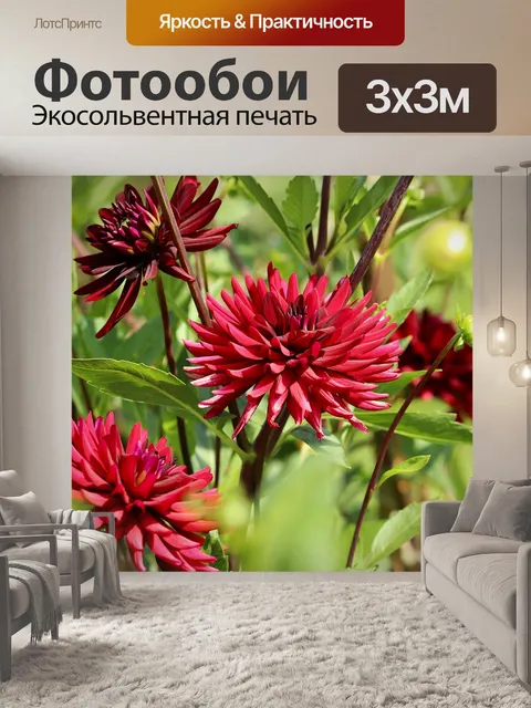 Фотообои Георгины