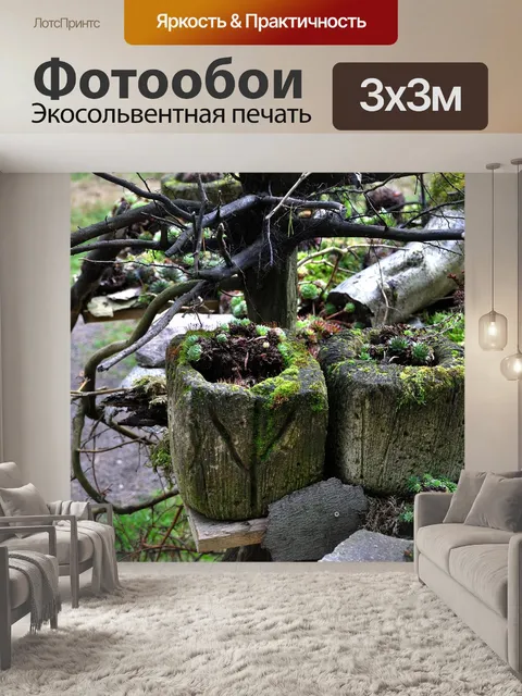 Фотообои Падение