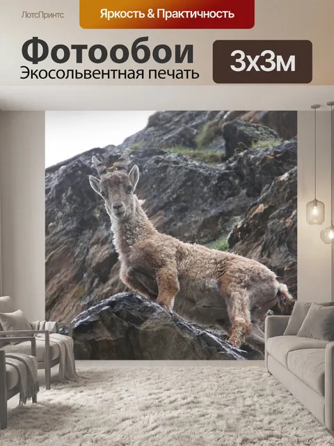 Фотообои Козерог