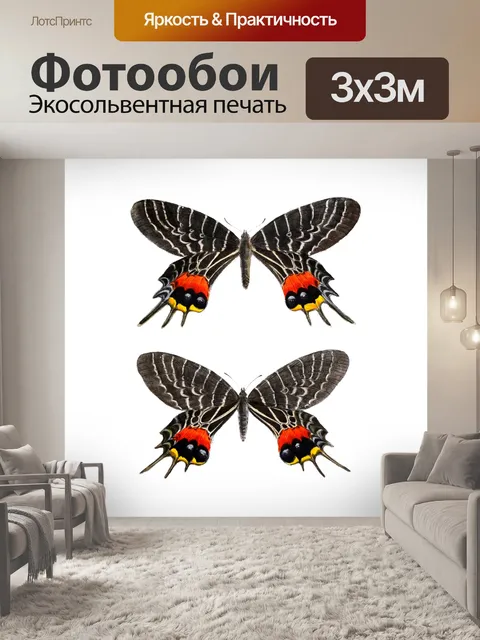 Фотообои Винтажное искусство бабочки-парусника