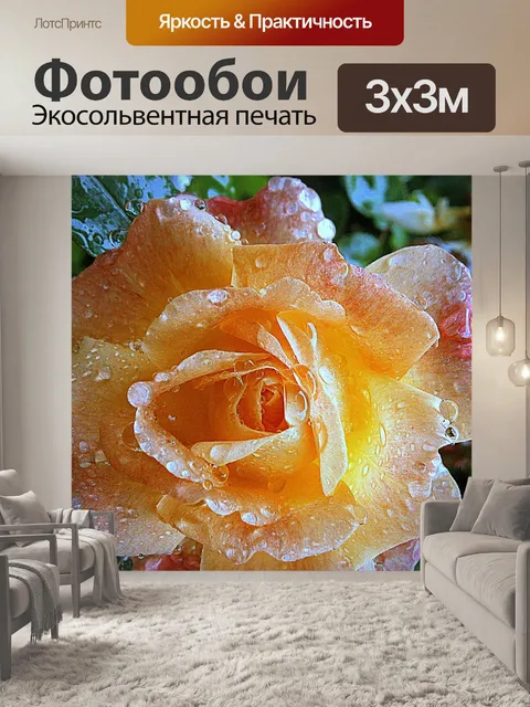 Фотообои Роза