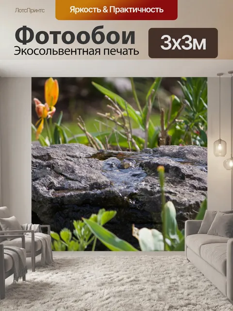 Фотообои Функция сад воды