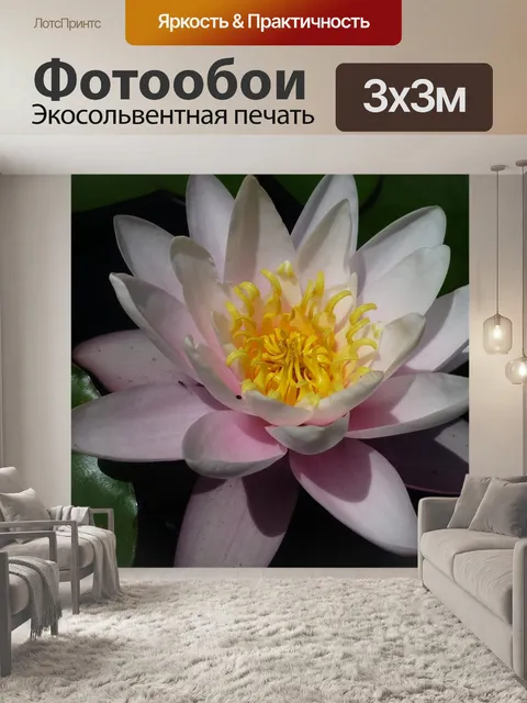 Фотообои Водяная лилия