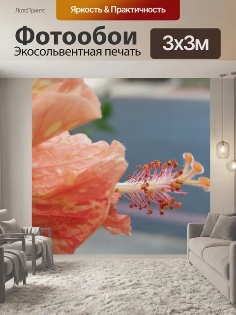 Фотообои Цветок гибискуса