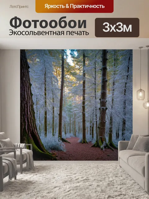 Фотообои древний лес, где стволы деревьев покрыты инеем, а свет пробивается сквозь листья, создавая волшебные оттенки