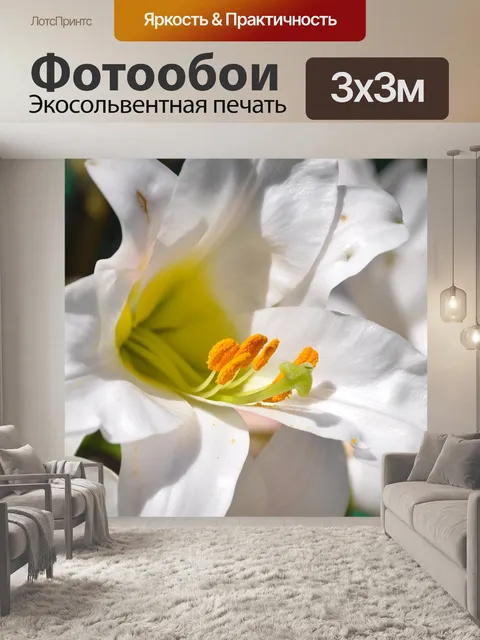 Фотообои Лили