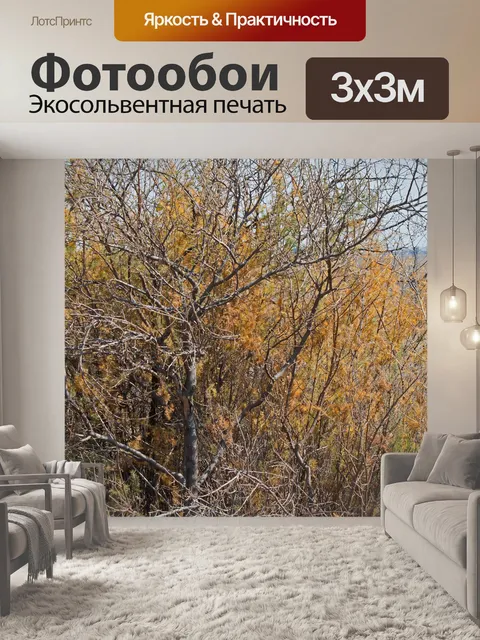 Фотообои Желтый куст и сухие ветки