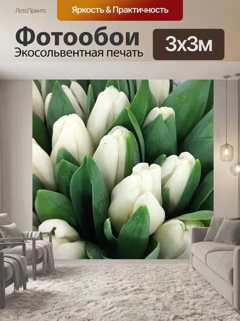 Фотообои Тюльпан