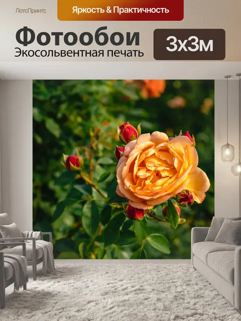 Фотообои Розы