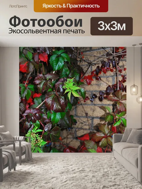 Фотообои Осень