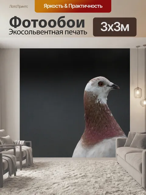Фотообои Природа