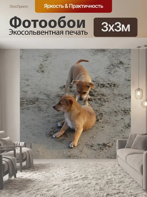 Фотообои Щенок