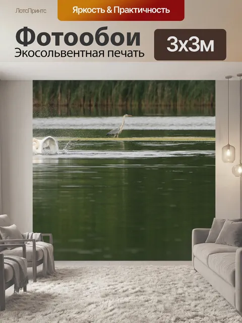 Фотообои Лебедь