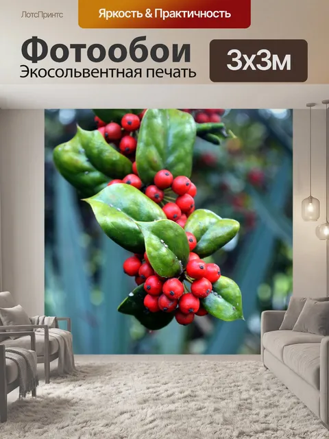 Фотообои Холли с ягодами