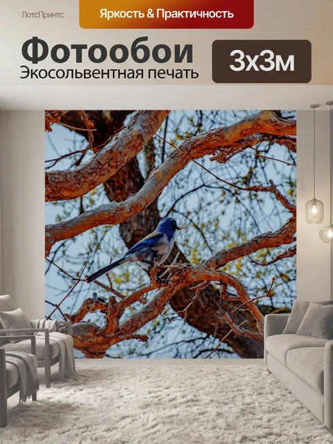 Фотообои Блюджей на дереве