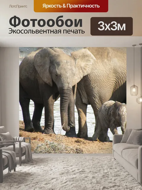 Фотообои Сафари