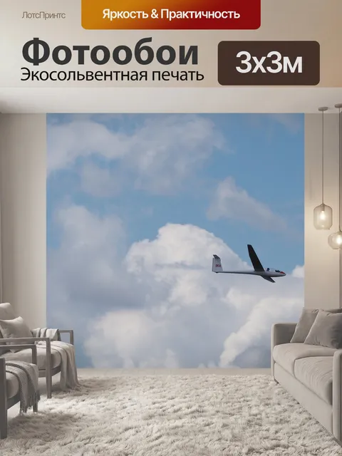 Фотообои Планер