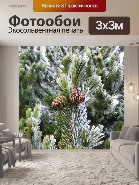 Фотообои Матовые ветви сосны