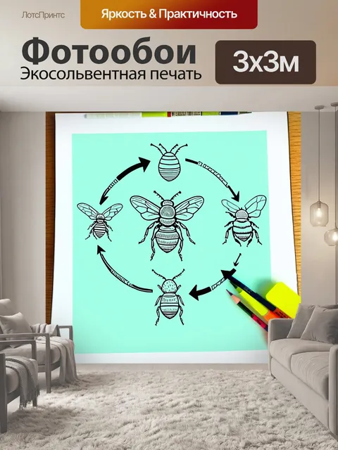 Фотообои создайте абстрактный рисунок, иллюстрирующий жизненный цикл пчелы: от яйца до взрослой особи