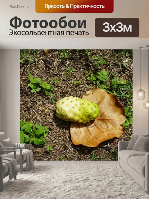 Фотообои Нони