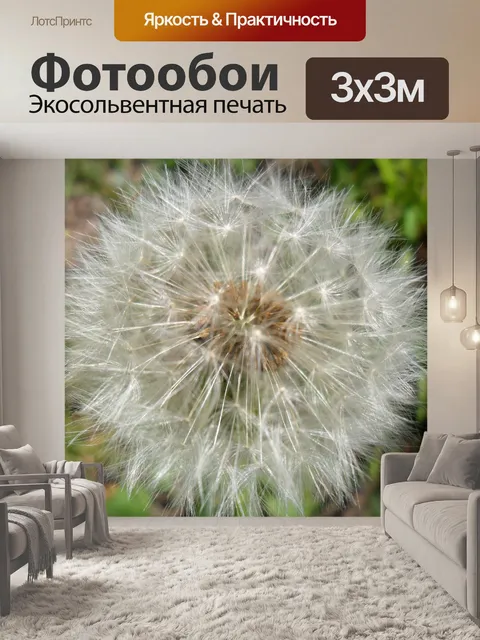 Фотообои Одуванчик